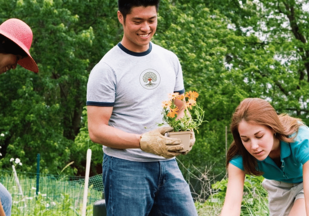 Volunteers planting flowers together in a community garden