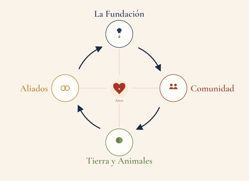 Cycle diagram connecting the Foundation, Community, Land and Animals, and Allies