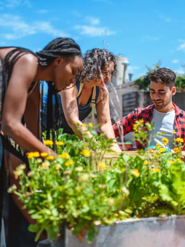 Community members tending a garden together