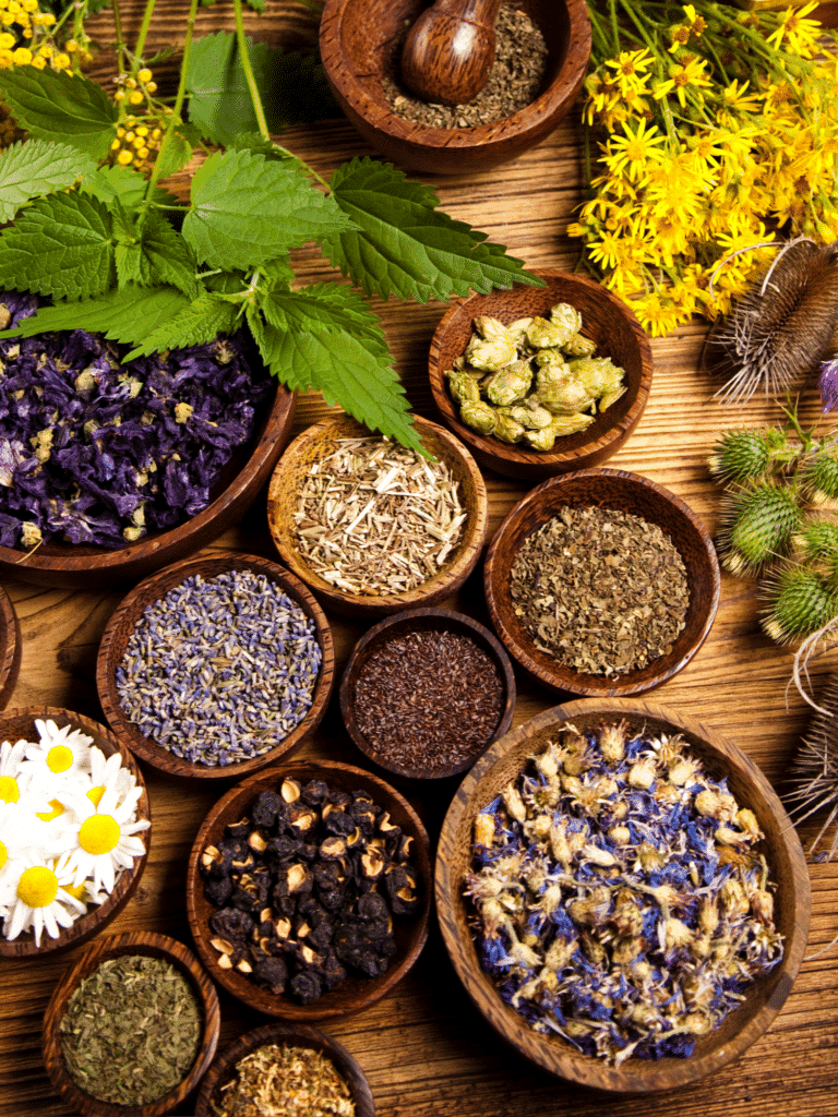 Bowls of dried herbs and flowers used in herbal healing
