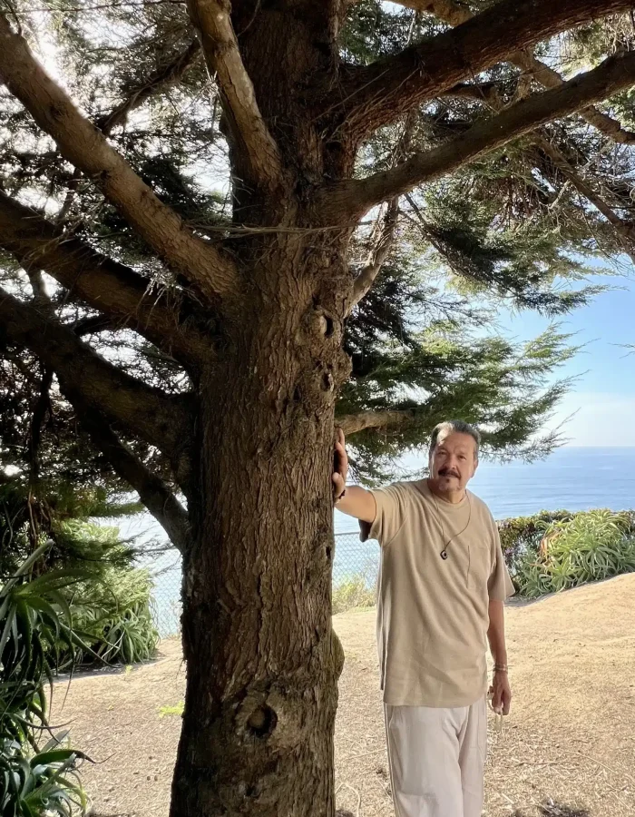 Man standing beneath a large tree on a hillside